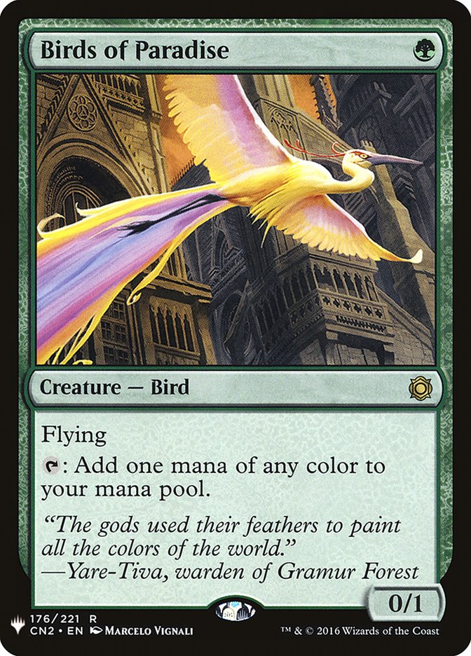 Birds of Paradise - The List (PLST)