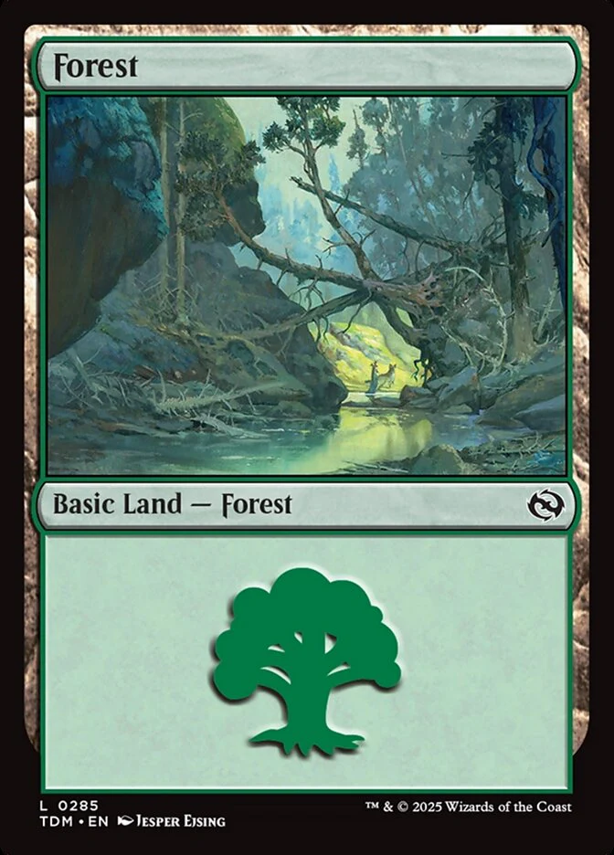 Forest (285) - [Foil] Tarkir: Dragonstorm (TDM)