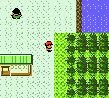 Pokemon Silver - Game Boy Color - Image 3