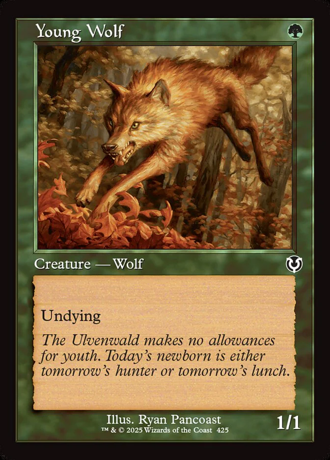 Young Wolf - [Retro Frame] Innistrad Remastered (INR)